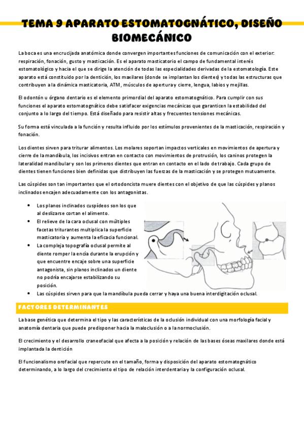 Miniatura del documento ORTODONCIA-I-Tema-9.pdf