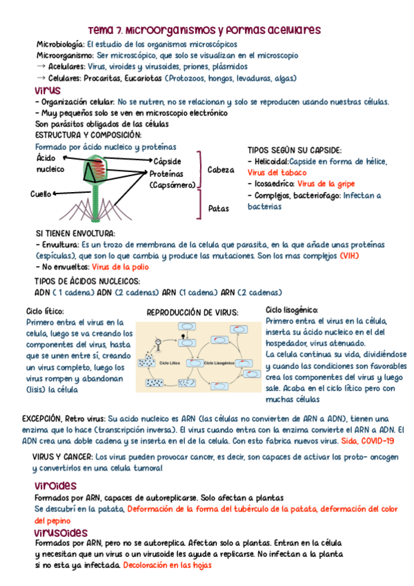 Miniatura del documento Tema-7.-Microorganismos-y-formas-acelulares.pdf