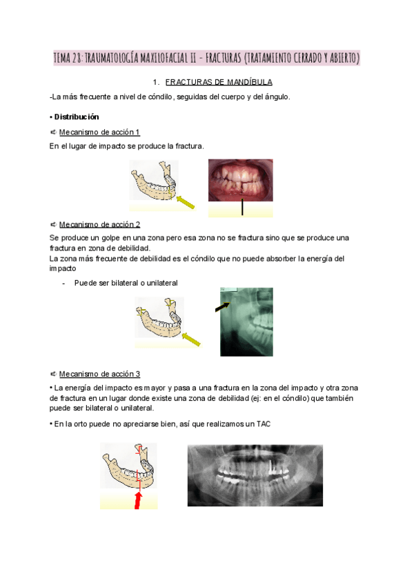 Miniatura del documento Patoquiru-t.-28.pdf