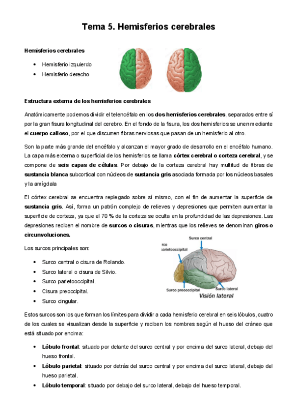 Miniatura del documento Tema-5.pdf