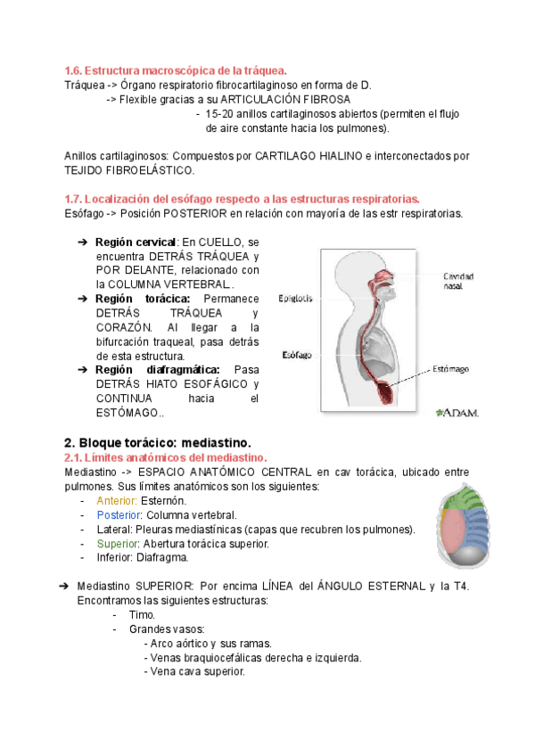 Miniatura del documento NECROPSIAS-TRABAJO-2.pdf