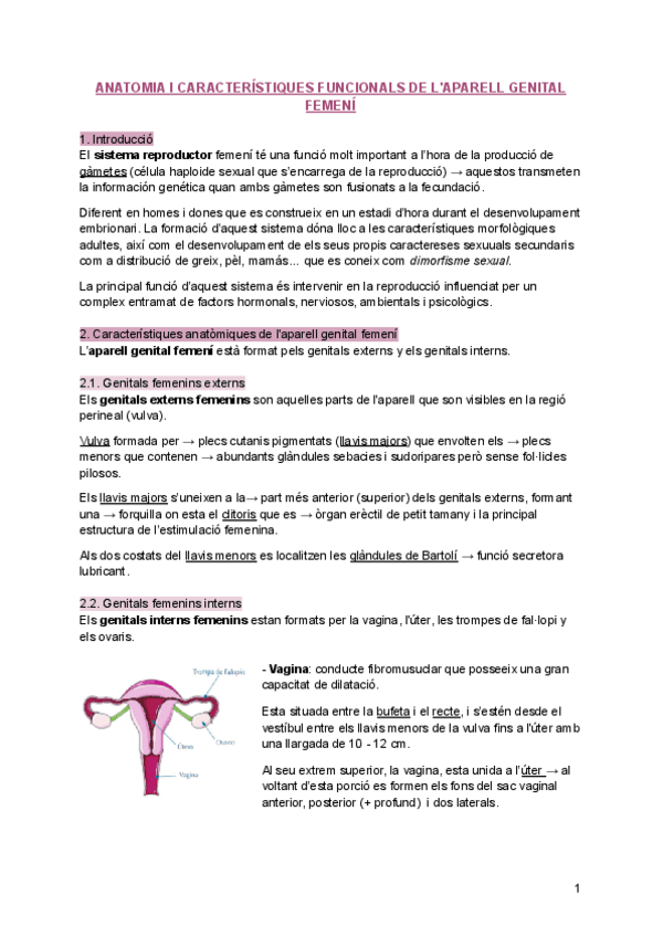 Miniatura del documento Tema-1-Anatomia-i-caracteristiques-funcionals-de-laparell-genital-femeni.pdf