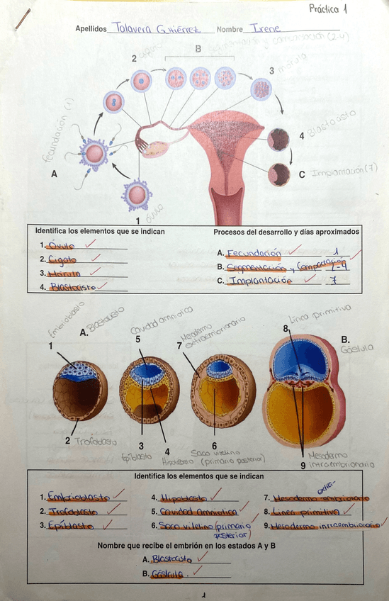 Miniatura del documento Practica-1.pdf