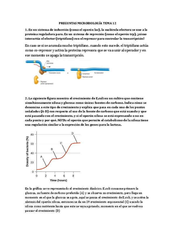 Miniatura del documento tema-12-preguntas-microbiologia.pdf