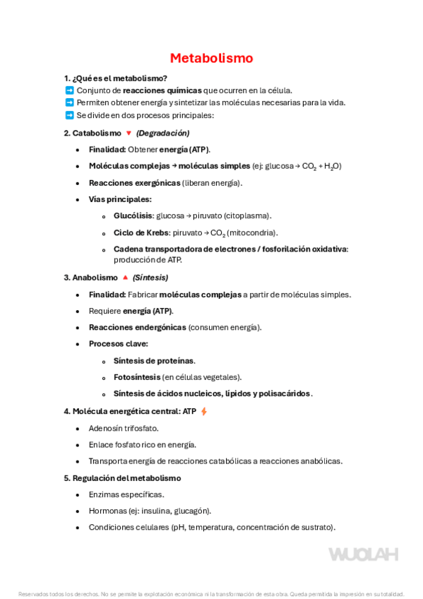 Miniatura del documento metabolismo.pdf