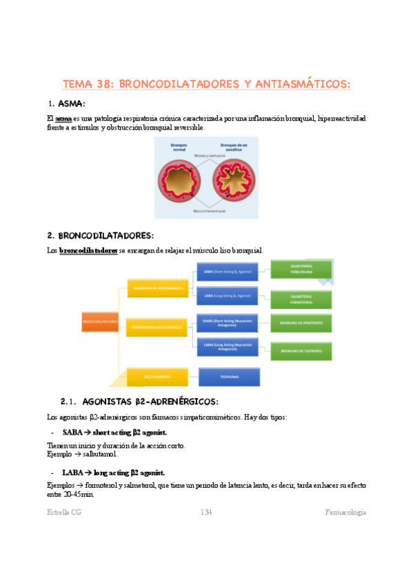 Miniatura del documento T38-FARMA.pdf