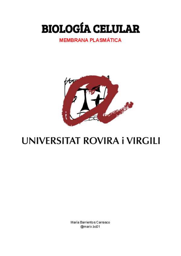 Miniatura del documento Team6MembranaPlasmatica.pdf.pdf