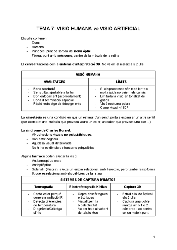 Miniatura del documento 7-Visio-Huamana-vs-Visio-Artificial.pdf