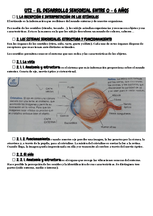 Miniatura del documento UT2-RESUMEN-EL-DESARROLLO-SENSORIAL-ENTRE-0-6-ANOS.pdf