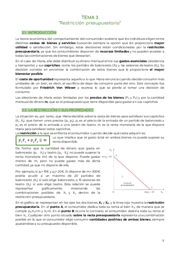 Miniatura del documento TEMA 3 Restricción presupuestaria.pdf.pdf