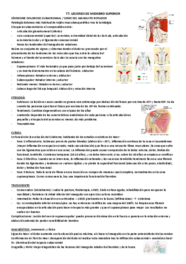 Miniatura del documento B1-T7.pdf