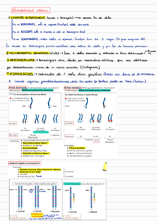 Miniatura del documento 14.-Bases-moleculares-de-la-mutacion.pdf