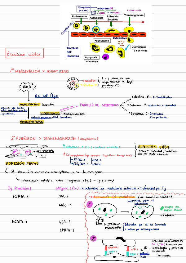 Miniatura del documento PEM-8.pdf