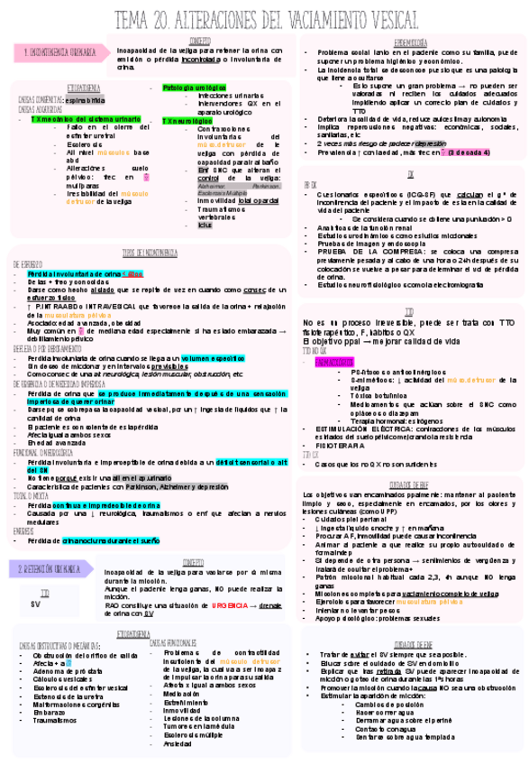 Miniatura del documento T.20-NEFROURO.pdf