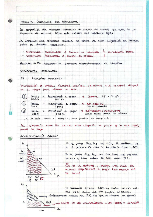 Miniatura del documento Apuntes-Tema-5-Economia-Grado-de-Economia-Universidad-de-La-Laguna.pdf