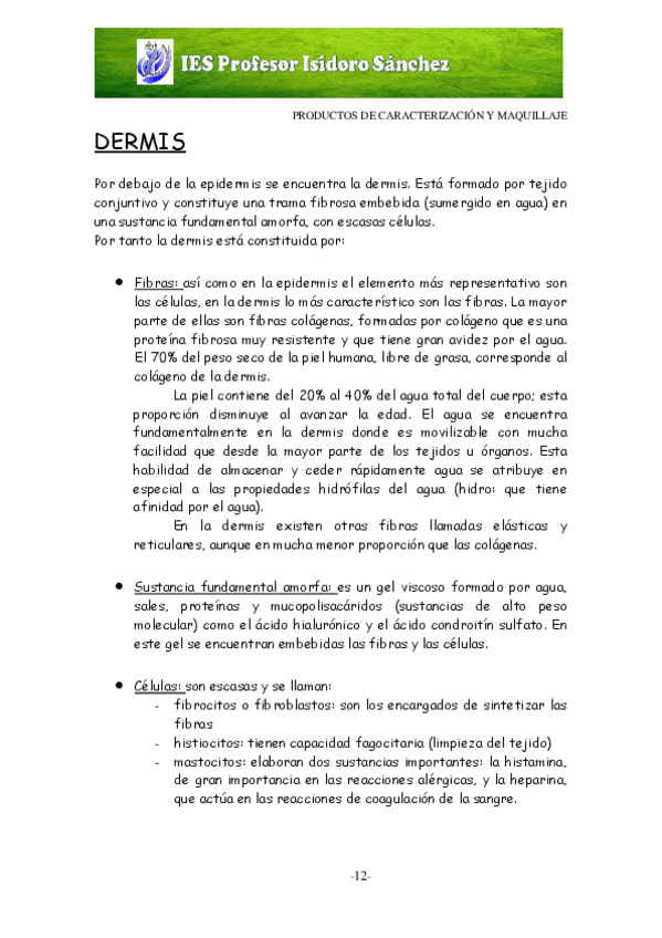 Miniatura del documento 3-LA-PIEL-DERMIS-HIPODERMIS-VASCULARIZACION-INERVACION.pdf