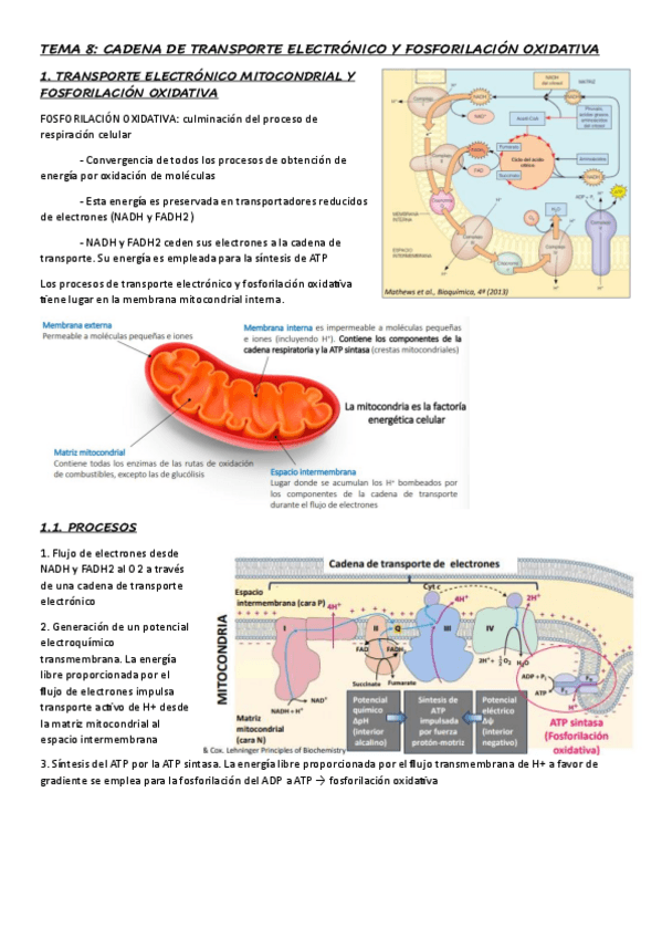 Miniatura del documento TEMA-8.pdf