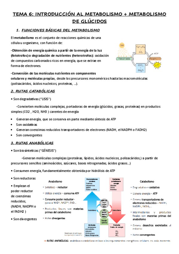 Miniatura del documento TEMA-6.pdf