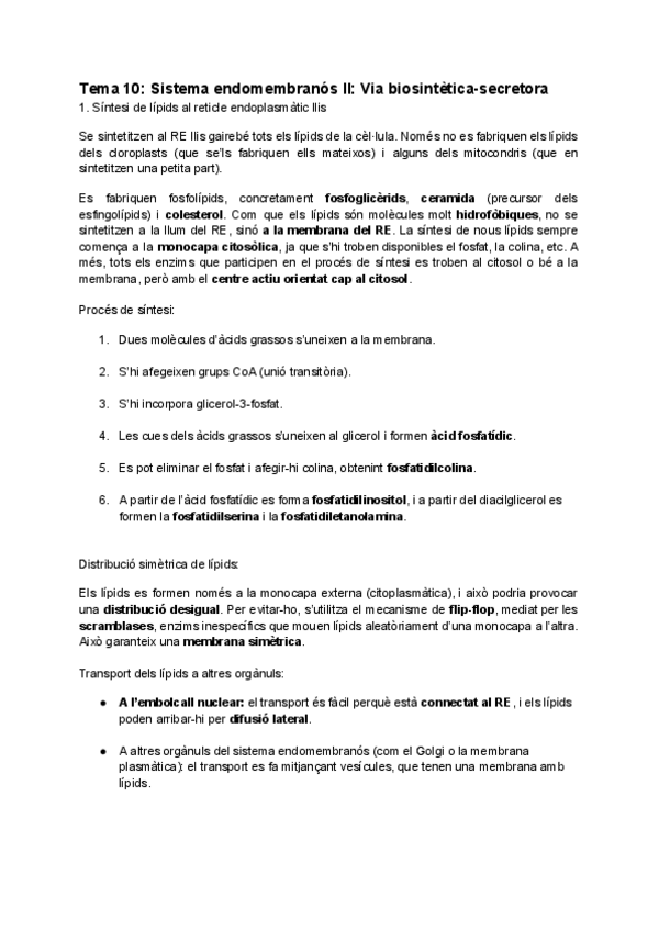 Miniatura del documento Tema-10-Sistema-endomembranos-II-Via-biosintetica-secretora.pdf