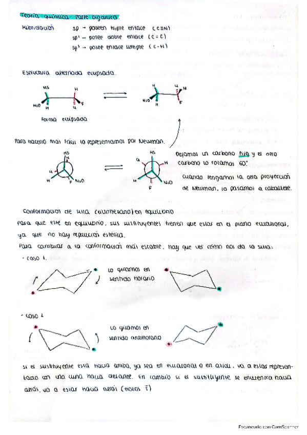 Miniatura del documento resumen-teoria-parte-organica.pdf