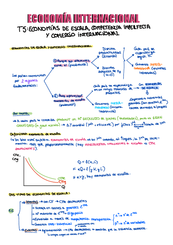 Miniatura del documento ECONOMIA-INTERNACIONAL-T5.pdf