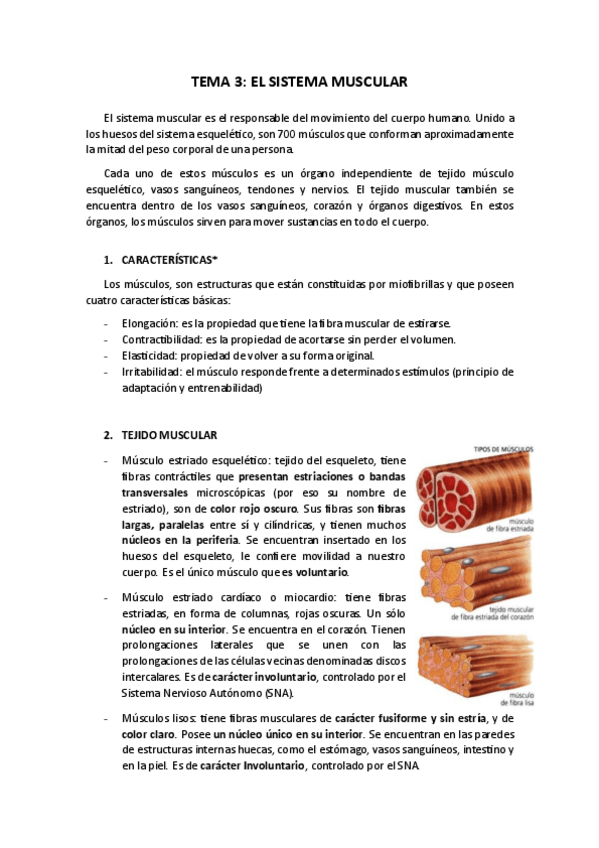 Miniatura del documento TEMA-3.pdf