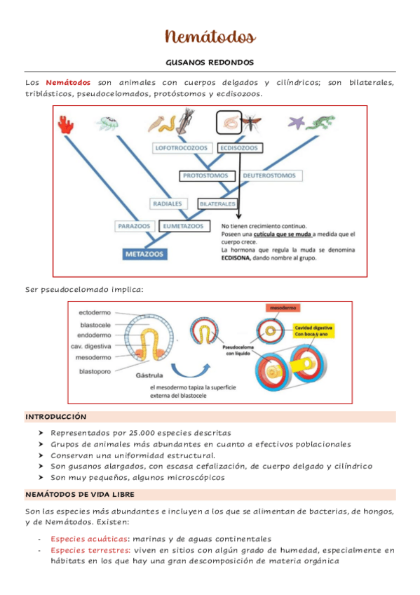 Miniatura del documento Nematodos.pdf