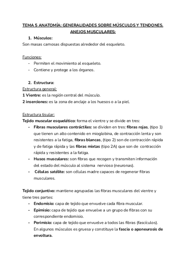 Miniatura del documento Tema-5-anatomia.pdf