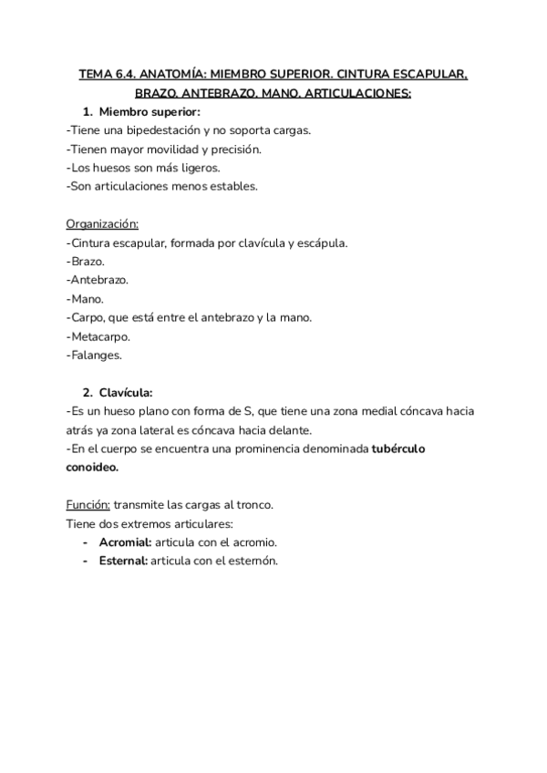 Miniatura del documento 6.4.ANATOMIA.pdf