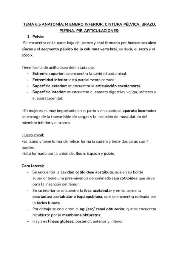 Miniatura del documento 6.5-ANATOMIA.pdf