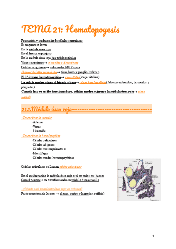 Miniatura del documento TEMA-21.pdf