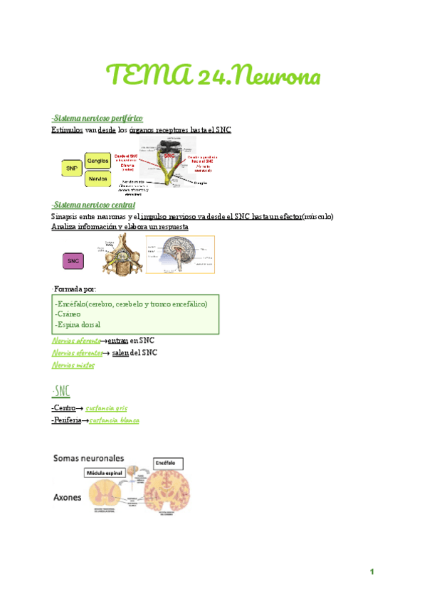Miniatura del documento TEMA-24.pdf