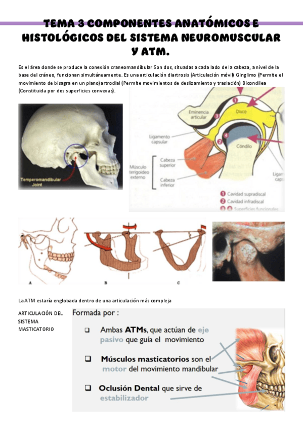 Miniatura del documento PROTESIS-I-Tema-3.pdf