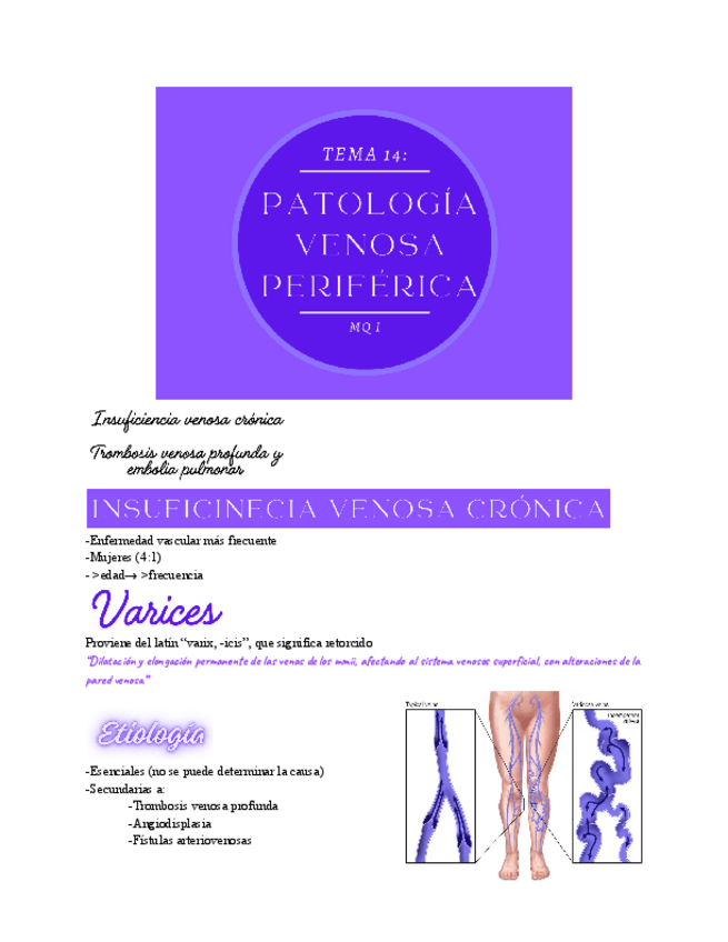 Miniatura del documento TEMA-14-PATOLOGIA-VENOSA-PERIFERICA.pdf