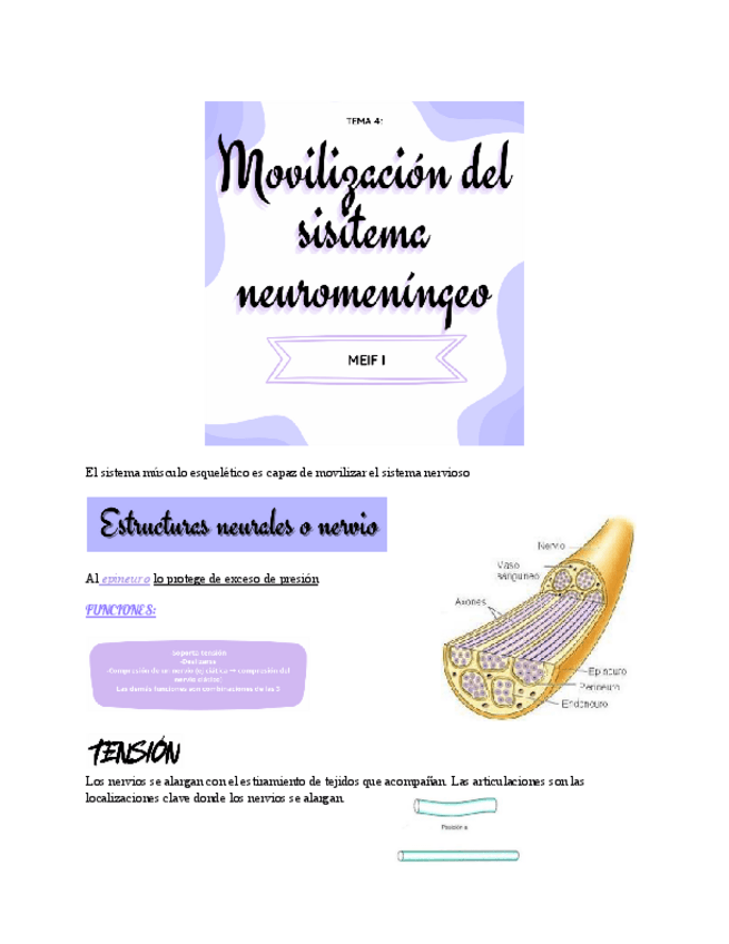 Miniatura del documento MOVILIZACION-DEL-SISTEMA-NEUROMENINGEO.pdf