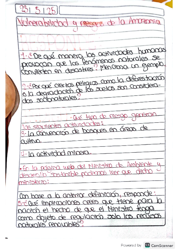 Miniatura del documento Vulnerabilidad.pdf