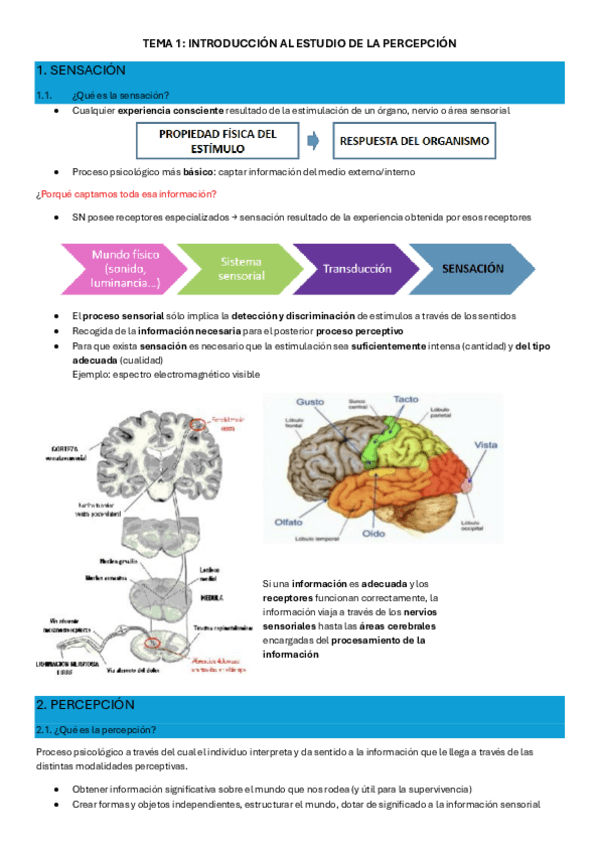 Miniatura del documento TEMARIO-PERCEPCION.pdf