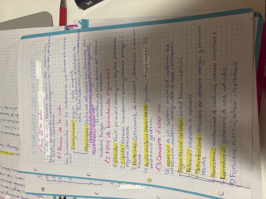 Miniatura del documento image.jpg