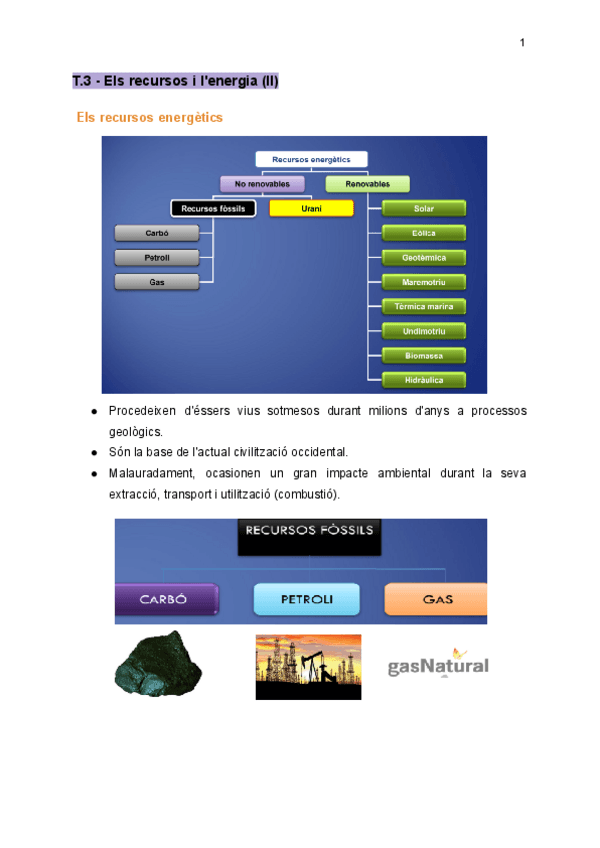 Miniatura del documento T.3-Els-rescursos-i-la-energia-II.pdf