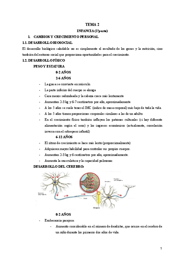Miniatura del documento TEMA-2-DESARROLLO.pdf