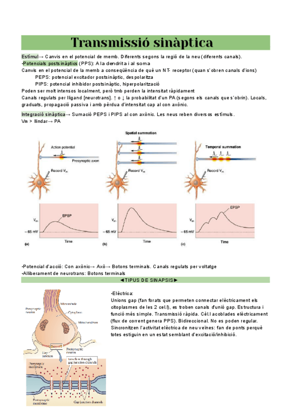 Miniatura del documento T9.pdf