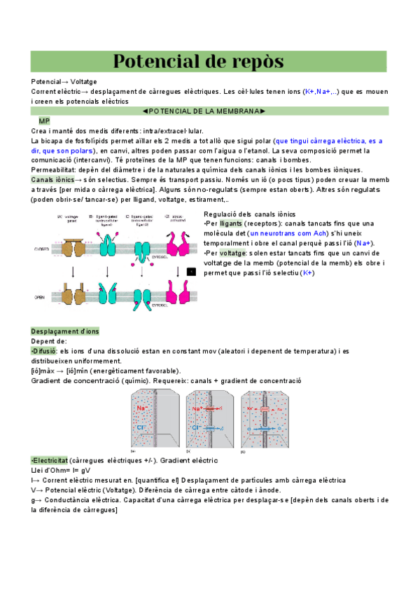 Miniatura del documento T7.-Bloc-2-comunicaio-neuronal.pdf