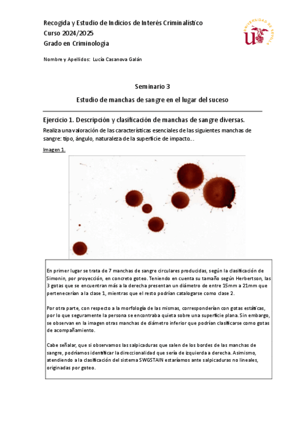 Miniatura del documento Seminario-Manchas-de-sangre..pdf