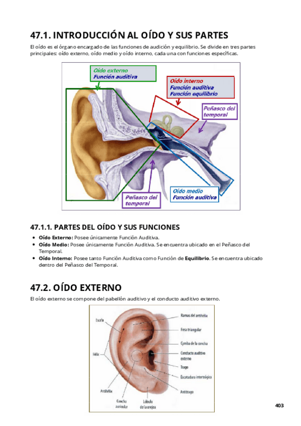 Miniatura del documento TEMA-47-ANATOMIA.pdf