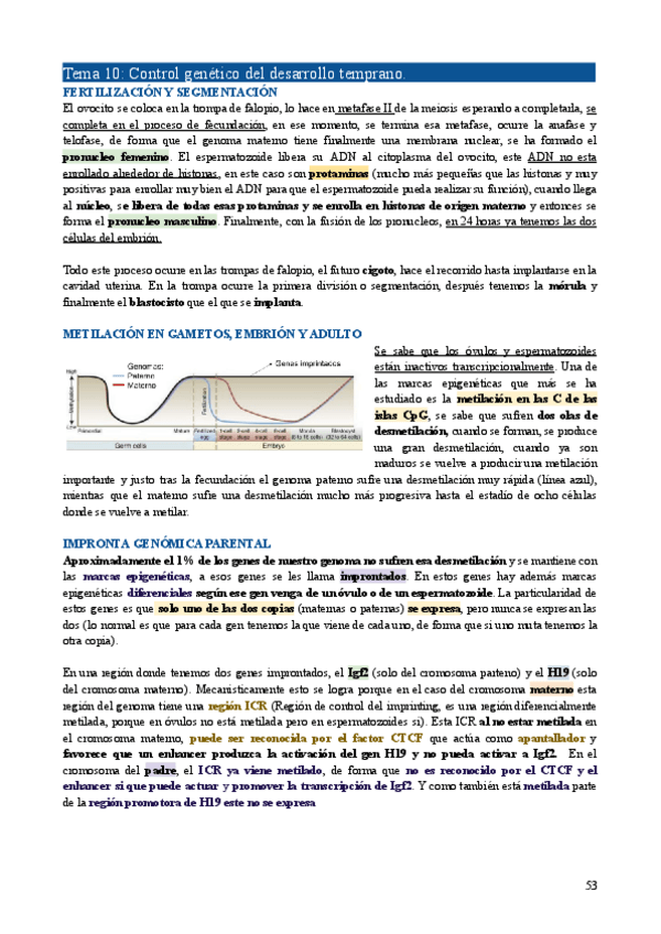 Miniatura del documento GEMO-Tema10.pdf