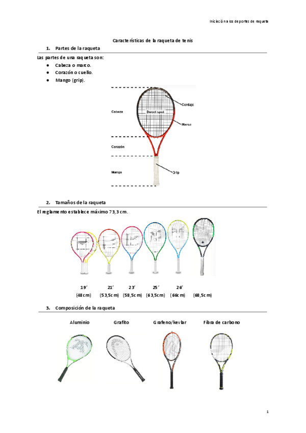 Miniatura del documento Caracteristicas-de-la-raqueta.pdf