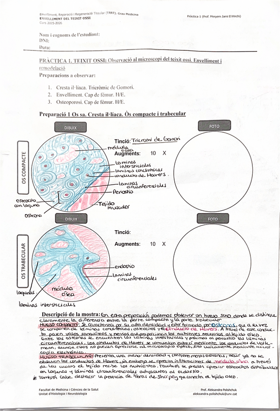 Miniatura del documento Pract-1.-Tx-oseo.pdf