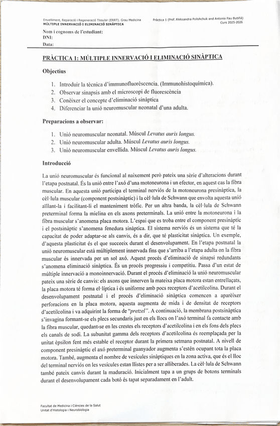 Miniatura del documento Pract-2-SN.pdf