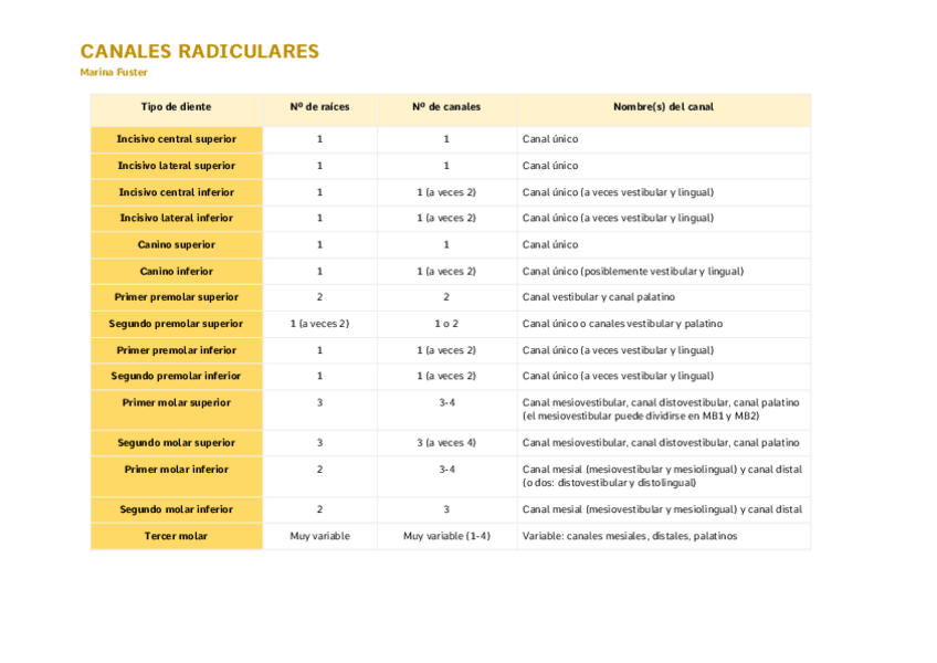 Miniatura del documento CANALES-RADICULARES-Documentos-de-Google.pdf