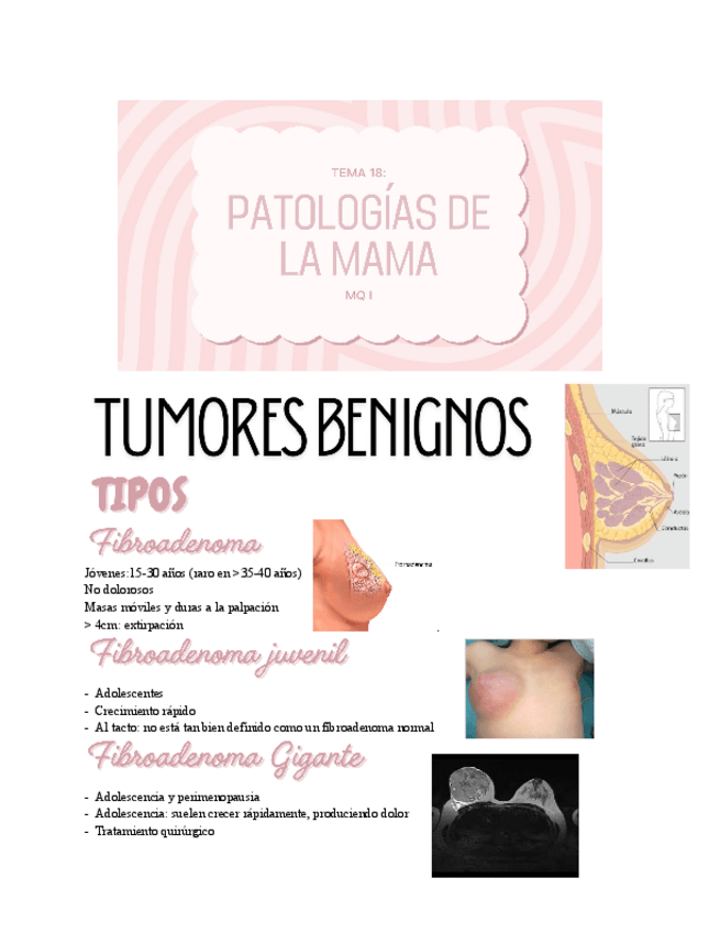 Miniatura del documento Untitled-document-3.pdf